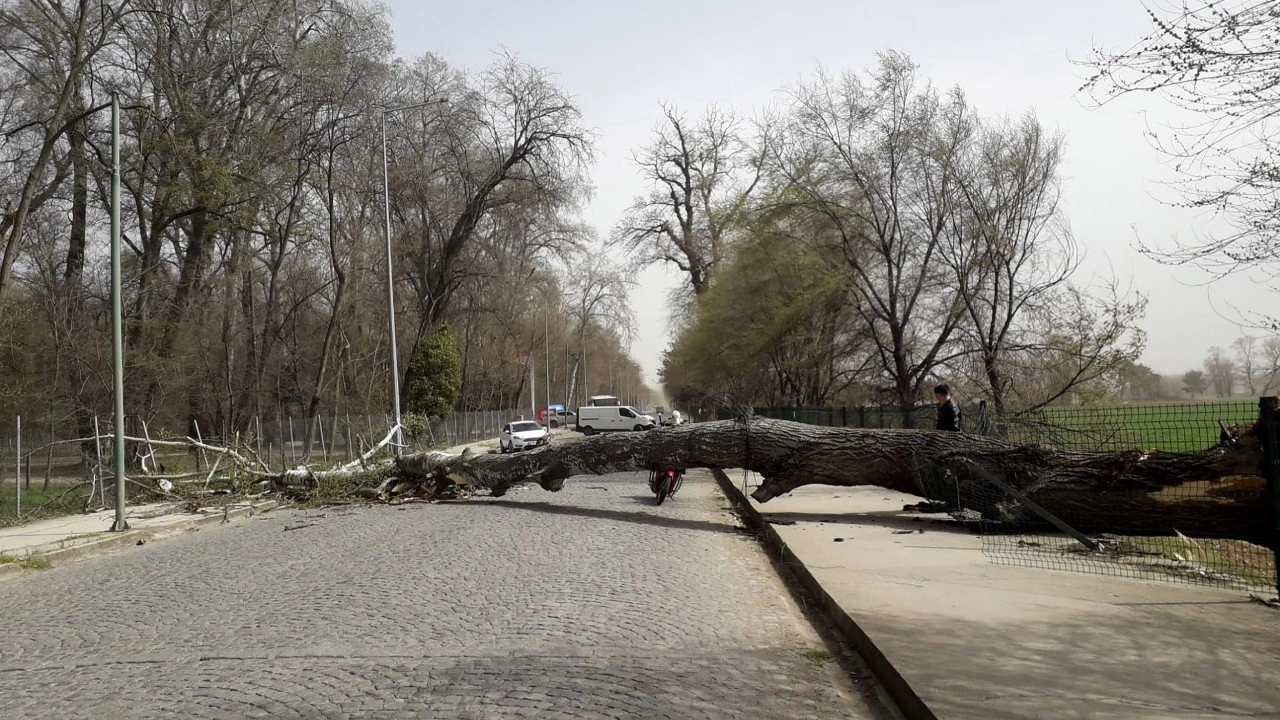 13 kent için "sarı" alarm! Fırtınanın hızı: 70 km!