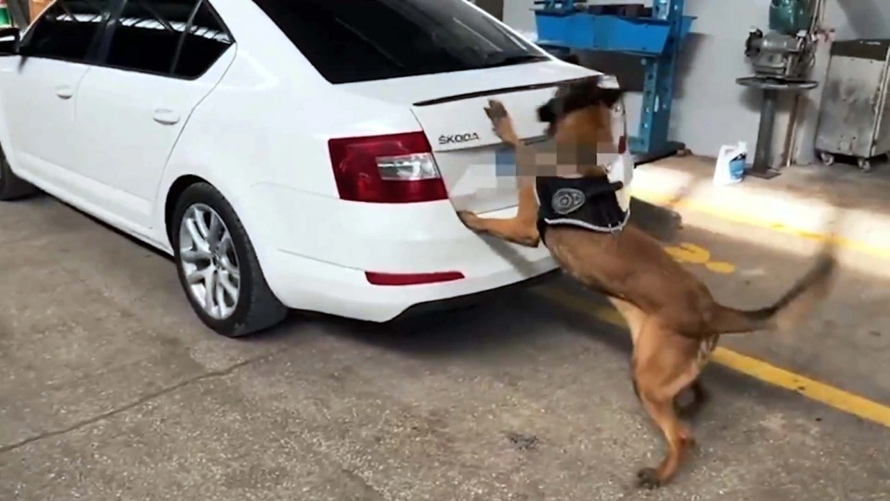 3 ilde yapılan uyuşturucu operasyonlarında 6 şüpheli yakalandı