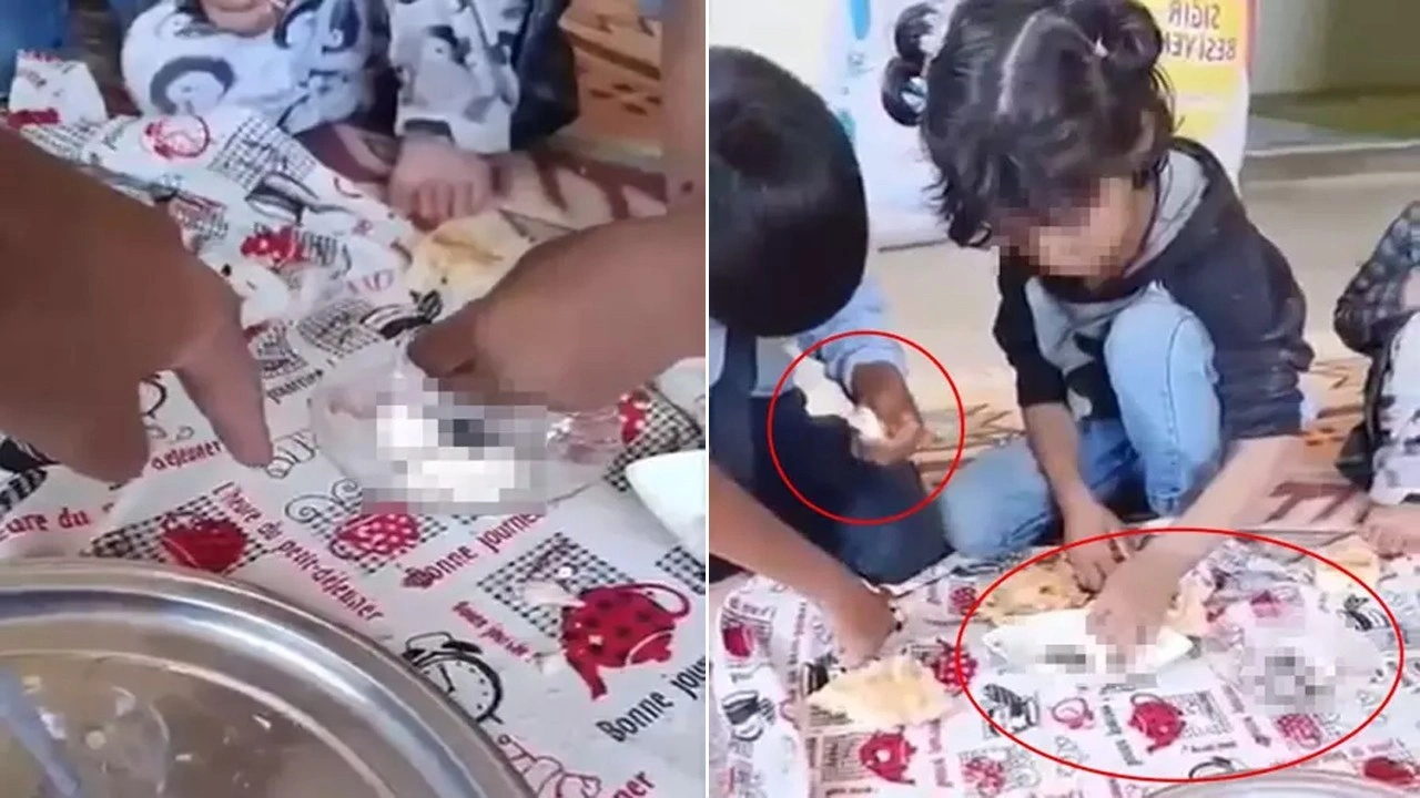 4 çocuğa hayvan dışkısı yedirdiği iddia edilen üvey ağabey serbest