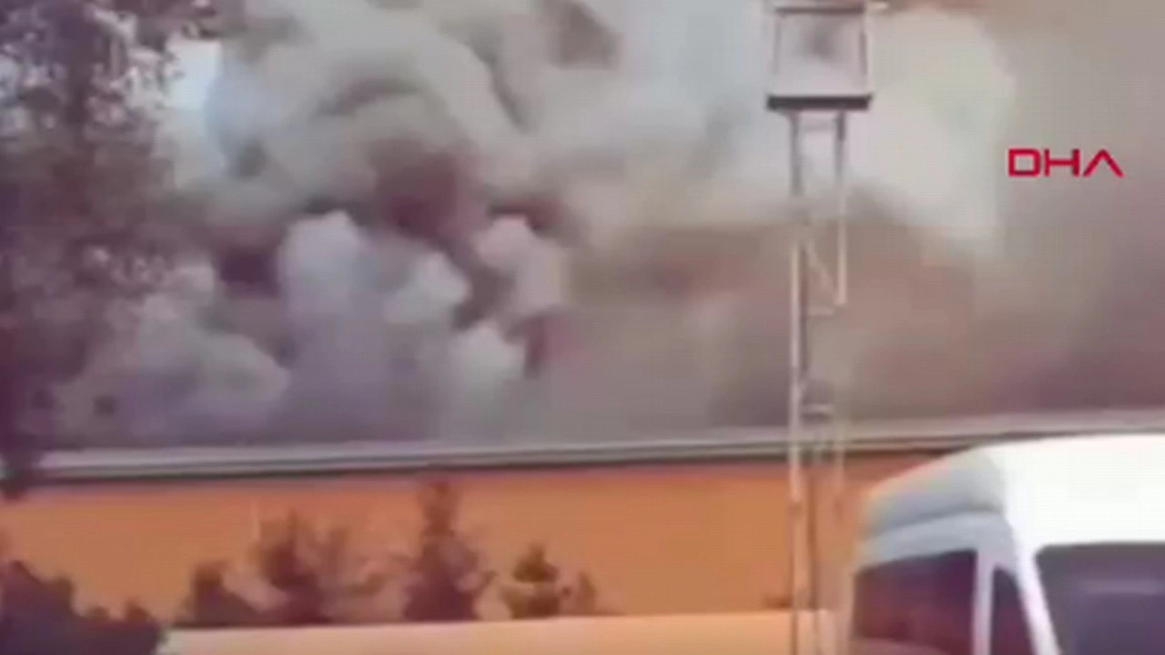 Ankara'da yumurta tesisinde yangın; 150 bin tavuk öldü