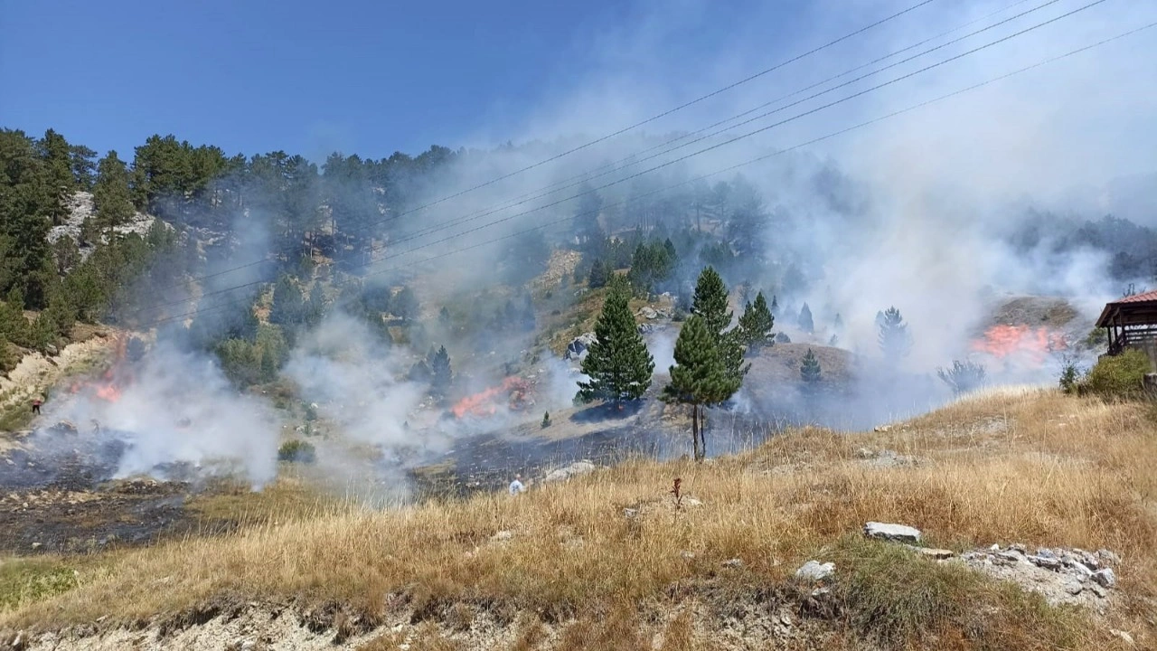Antalya'da 4 orman yangın kontrol altında, 2'sine müdahale sürüyor