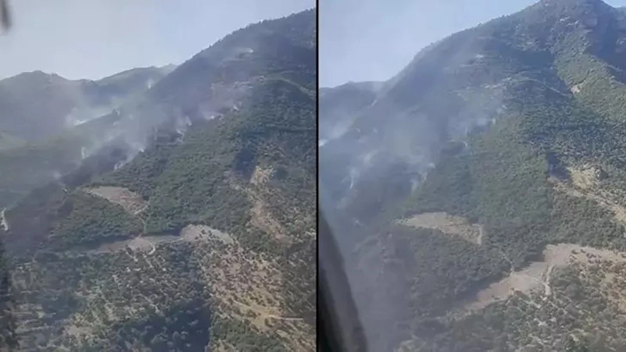 Aydın'daki orman yangını 2'nci gününde kontrol altına alındı