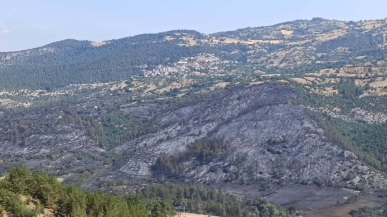 Balıkesir'deki orman yangını 2'nci gününde