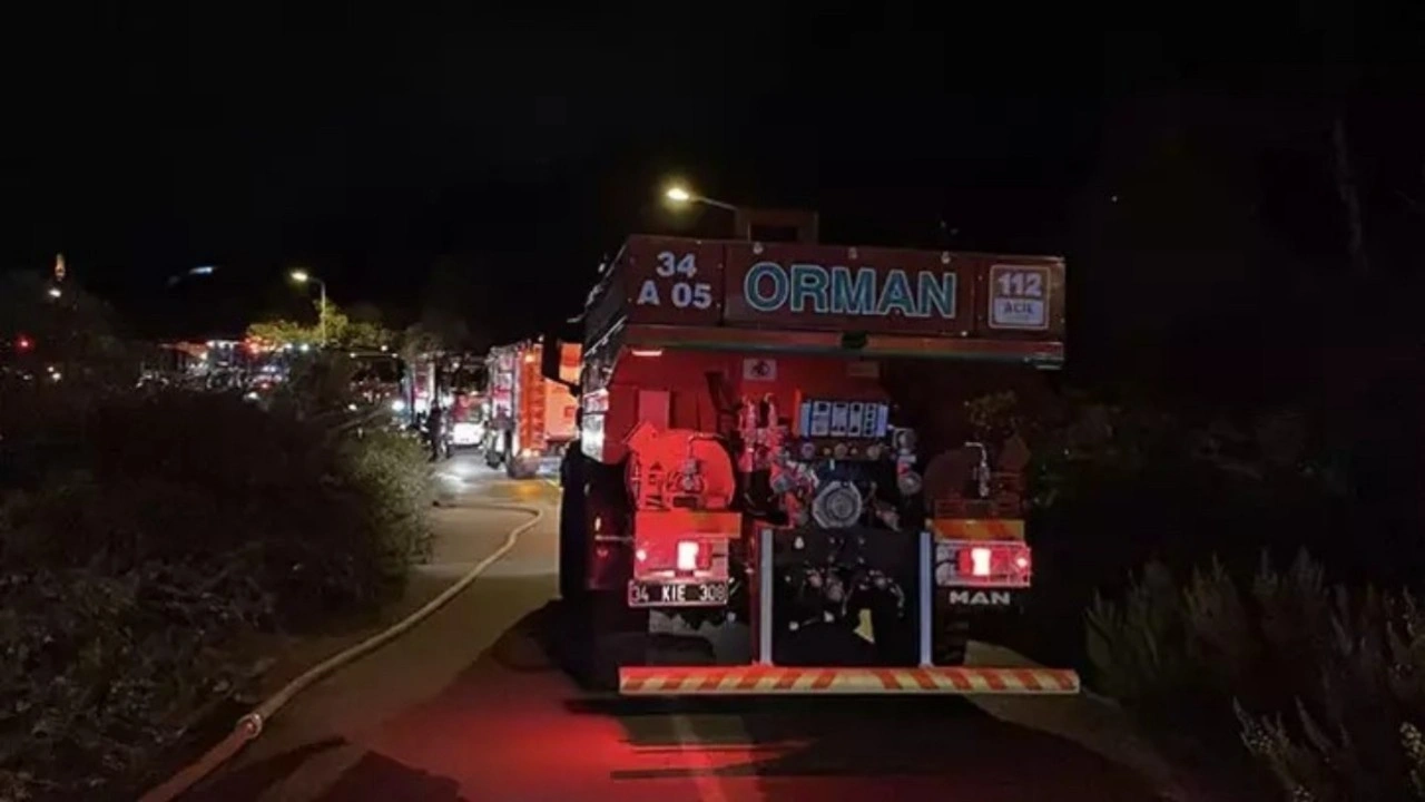 Beykoz'da orman yangını büyümeden söndürüldü