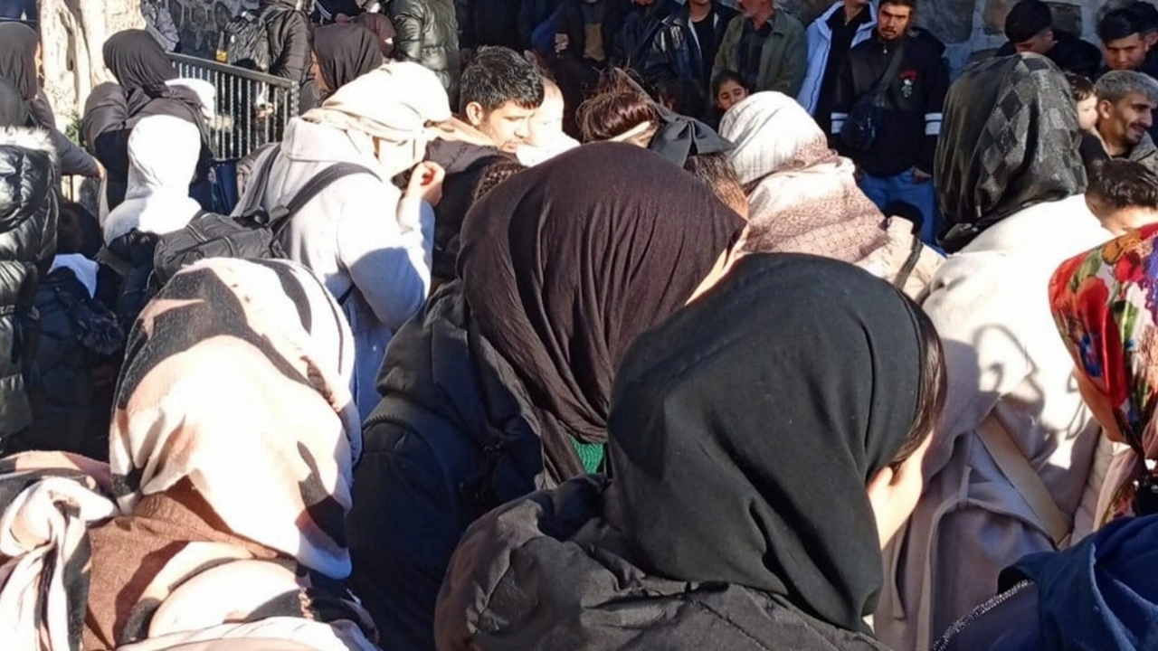 Bodrum&rsquo;da 82 ka&ccedil;ak g&ouml;&ccedil;men yakalandı