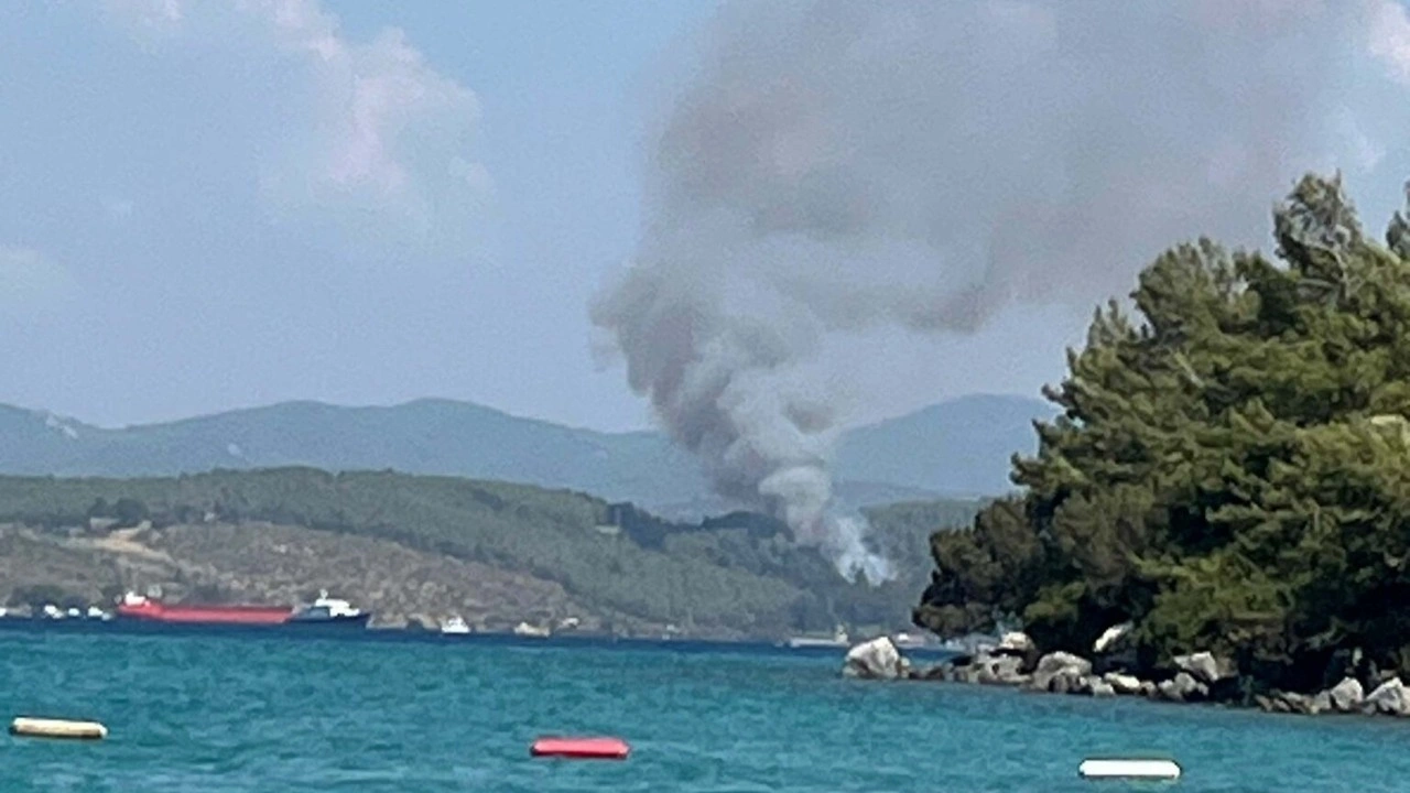 Bodrum'da orman yangını