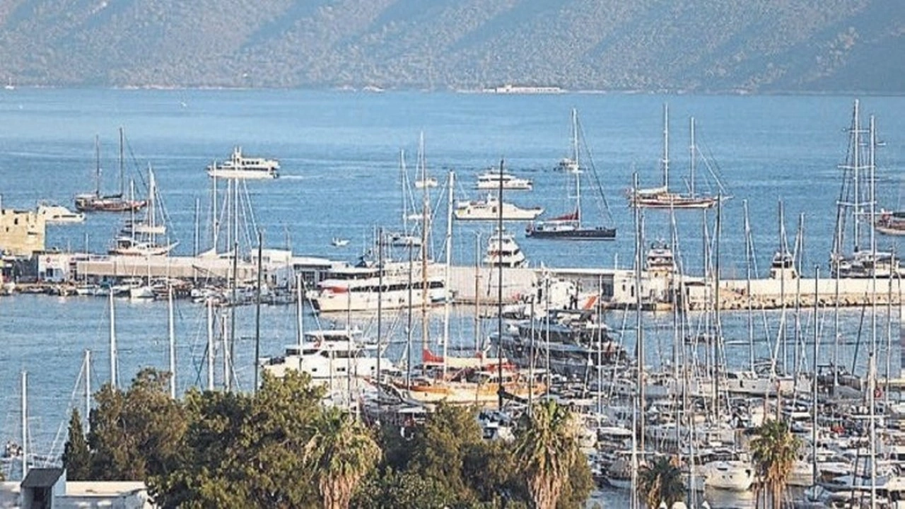 Bodrum koyları istilacı yat tehlikesi altında
