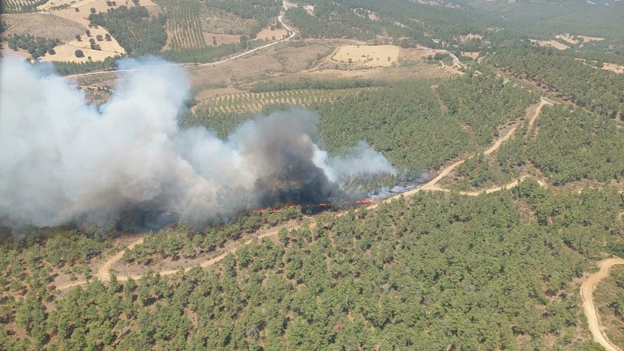 Çanakkale'de orman yangınına müdahale sürüyor
