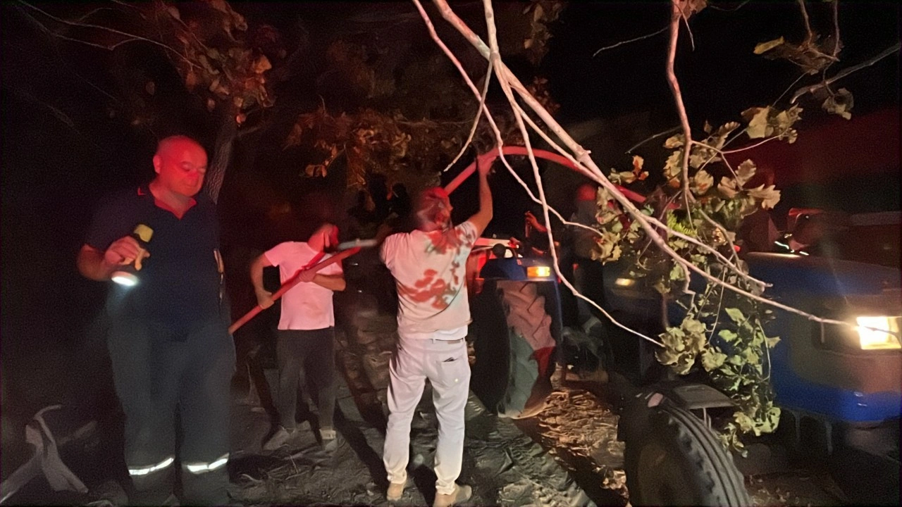 Gebze'de çıkan orman yangını 3 saatte söndürüldü