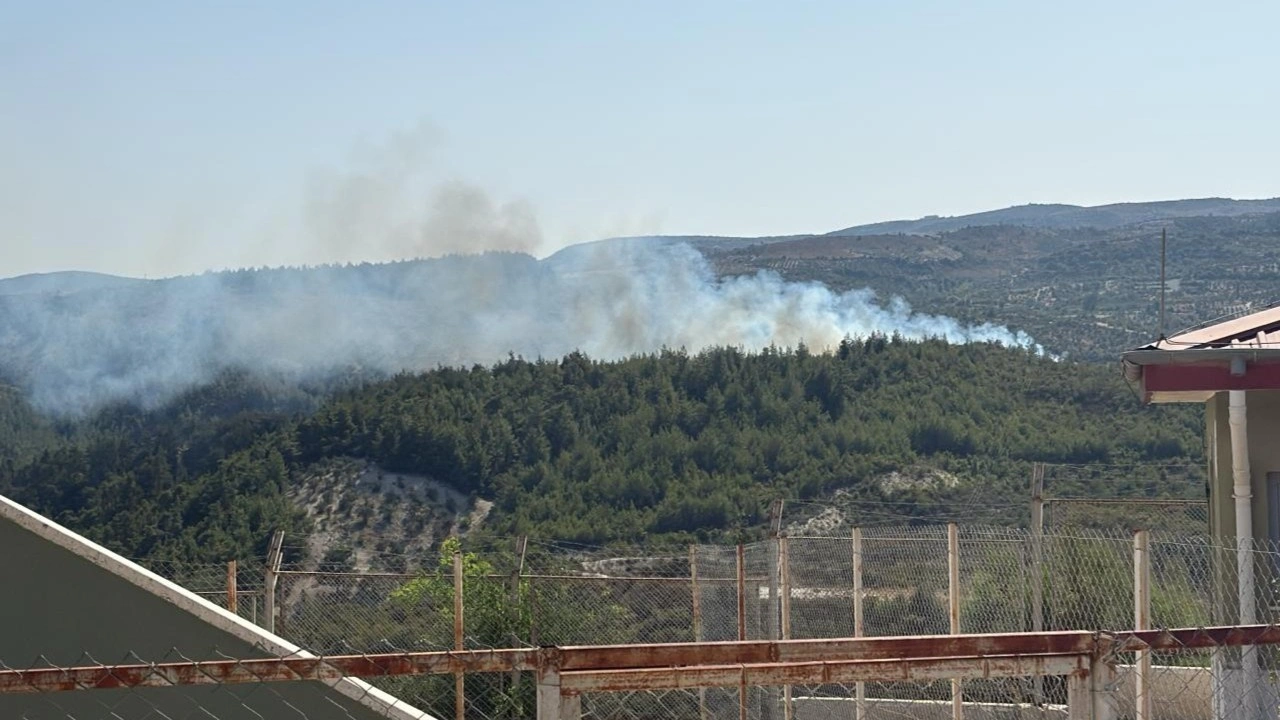 Hatay'daki orman yangını, 16,5 saat sonra kontrol altına alındı