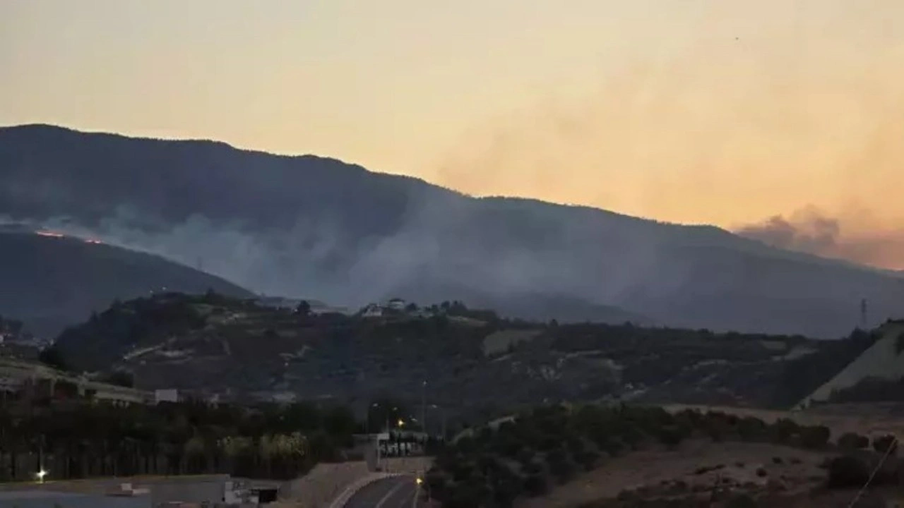 Hatay'daki orman yangını 2'nci gününde