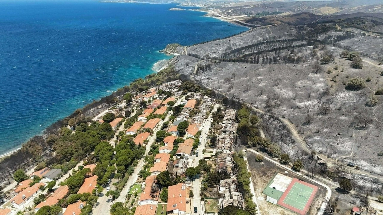 İzmir Seferihisar'da yeşil alanlar, yangın sonrası gri renge büründü