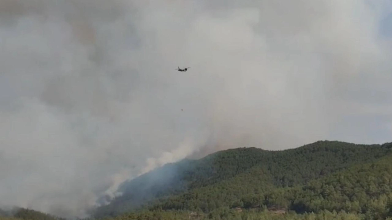 Karabük’te orman yangını 2’nci gününde! Alevler Kastamonu'ya sıçradı
