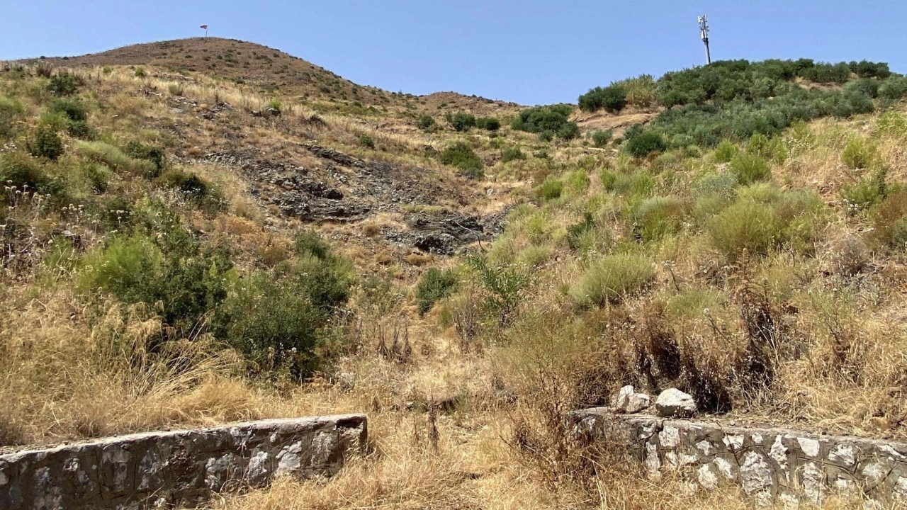 Marmaris'te yanan alanlar yeniden yeşillendi