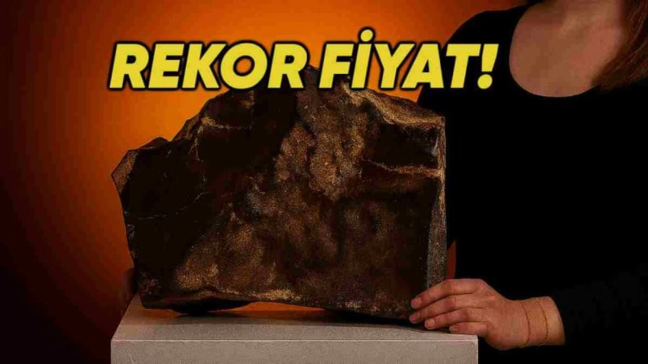 Mars'tan Dünya'ya Düşen Gök Taşı Dudak Uçuklatan Rakama Satıldı