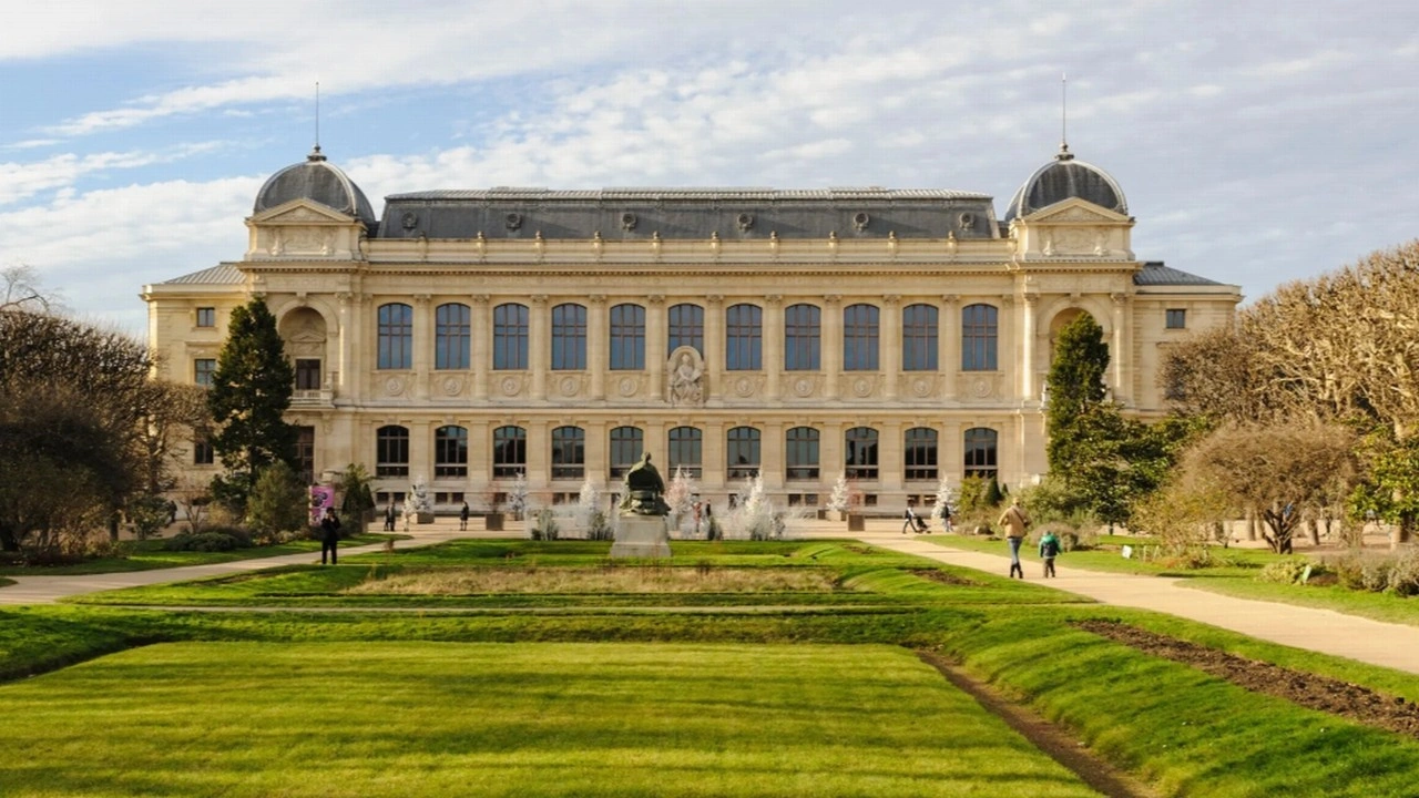 Paris’te müzeden 700 bin dolarlık altın çalındı