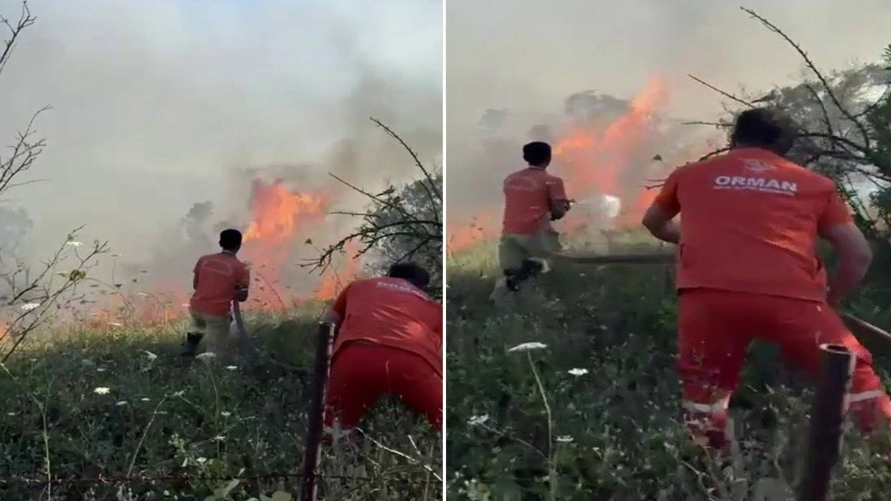 Sakarya'da çıkan kısa süreli yangın endişe yarattı