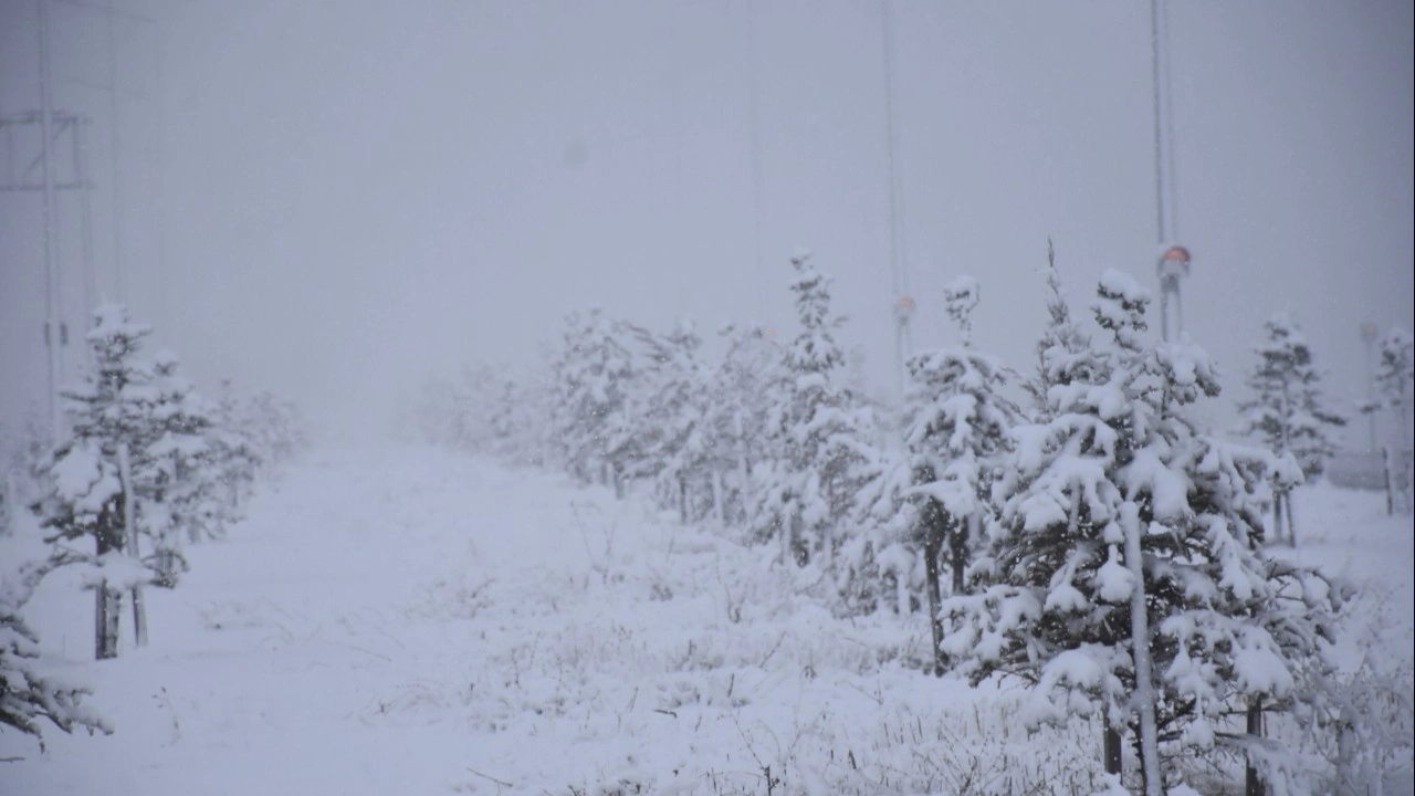 Sivas kara teslim oldu