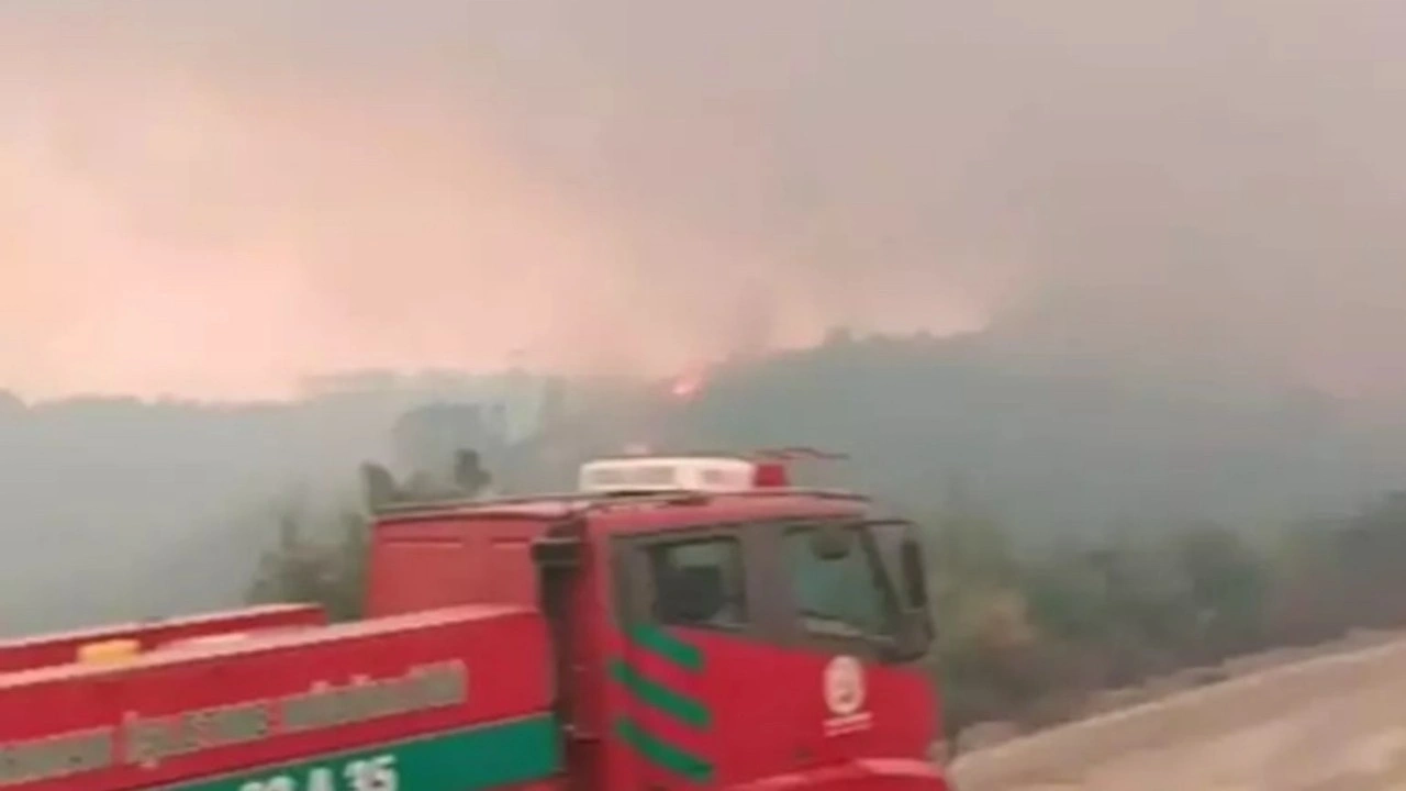 Suriye'deki orman yangını, yeniden sınıra yaklaştı