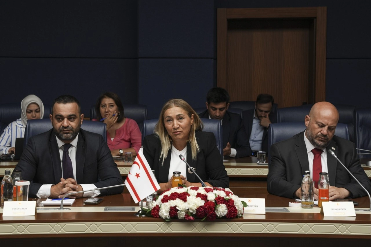 TBMM Güvenlik ve İstihbarat Komisyonu Başkanı Tipioğlu, Cumhuriyet Meclisi heyetiyle görüştü