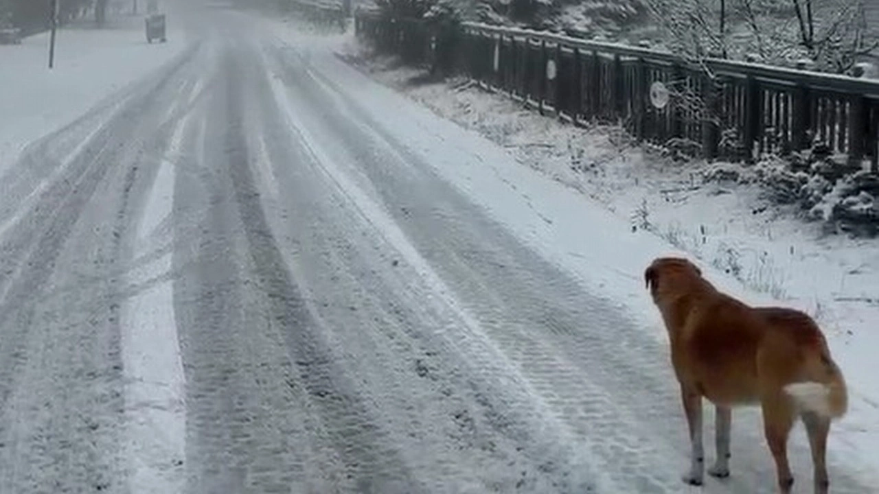 Uludağ’da kar kalınlığı 5 santimetreye ulaştı