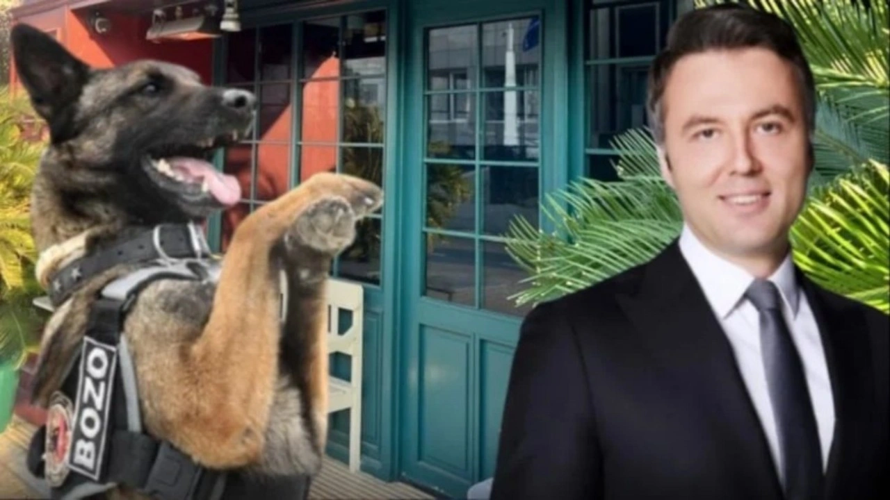 Ünlülerin uğrak mekanına narkotik baskını