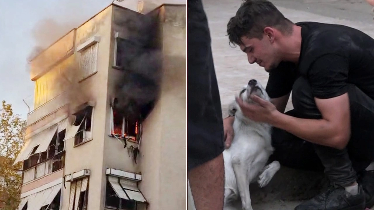 Yangın çıkan evdeki 2 köpeği itfaiye kurtardı