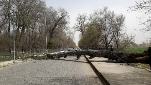 13 kent için "sarı" alarm! Fırtınanın hızı: 70 km!