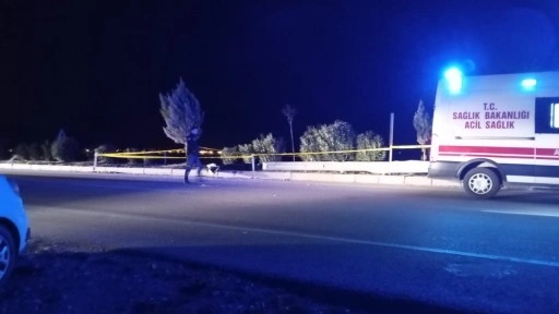 Adana'da motosiklet ref&uuml;je &ccedil;arptı; 1 &ouml;l&uuml;, 1 yaralı