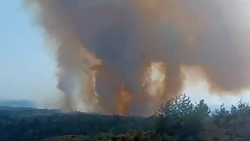 Adana'daki orman yangını kontrol altına alındı