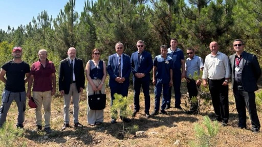 Altınbaş Üniversitesi'nden orman şehitleri için 10 fidan