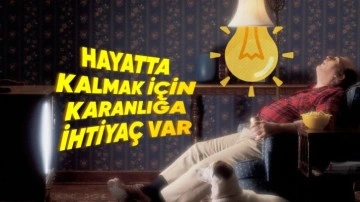 Ampulün İcadı, Kardiyovasküler Hastalıkları Nasıl Arttırdı?