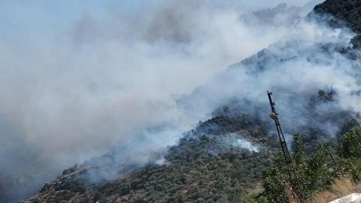 Aydın'daki orman yangını kontrol altında