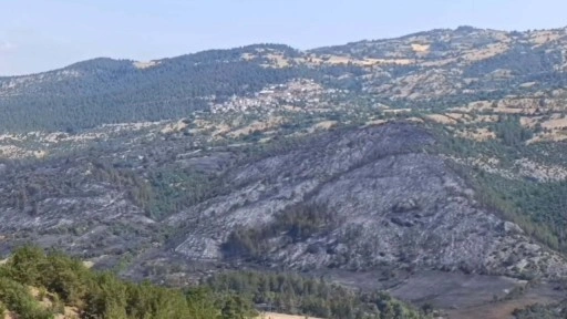 Balıkesir'deki orman yangını 2'nci gününde