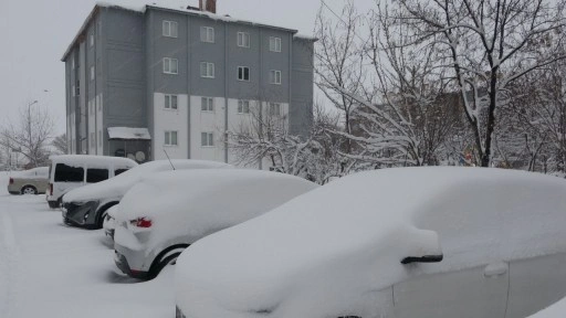 Bitlis'te 100 köy yolu kardan kapandı