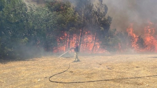 Çanakkale'de büyük yangın felaketinde son durum