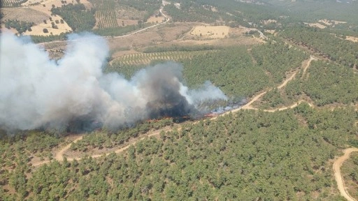 Çanakkale'de orman yangınına müdahale sürüyor