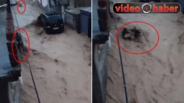 Cizre'de selde can pazarı yaşandı