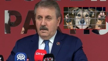 Destici: "Sokaklarımızın saldırgan köpeklerden temizlenmesini bekliyoruz"