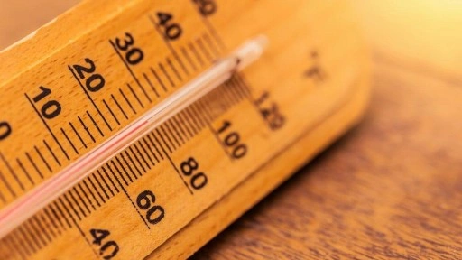 Dünya Meteoroloji Örgütü: "Gelecek 5 yılda sıcaklıklar rekor seviyelerde kalacak"