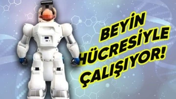 Dünyanın İlk İnsan "Beyinle" Çalışan Robotu Geliştirildi