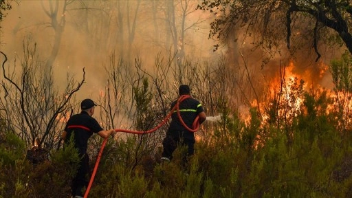 Fas, kuzeyindeki Tatvan kenti yakınlarında çıkan orman yangınıyla mücadele ediyor