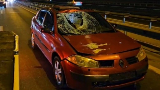 Gaziosmanpaşa’da otoyolda otomobilin çarptığı yaya hayatını kaybetti