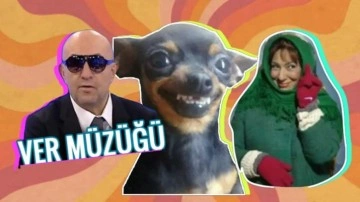 GIF ve Sticker’ları Neden Bu Kadar Çok Seviyoruz?