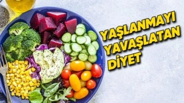 Hangi Besin Türlerin Beynin Yaşlanmasını Yavaşlattığını Gösteren Araştırma