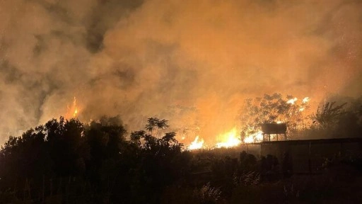 Hatay'da ağaçlık alanda çıkan yangın söndürüldü