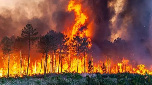 İspanya'nın güneyinde yangınlar: 1500'den fazla kişi tahliye edildi