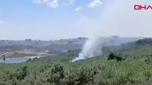 İstanbul'da da yangın başladı! Sultangazi Kent Ormanı'nda yangın
