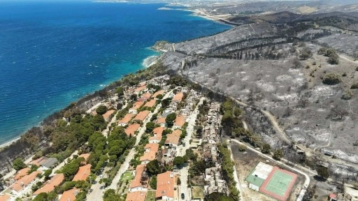 İzmir Seferihisar'da yeşil alanlar, yangın sonrası gri renge büründü