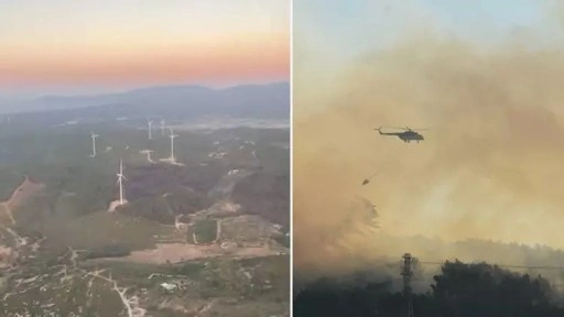 İzmir Urla'daki orman yangını kontrol altında